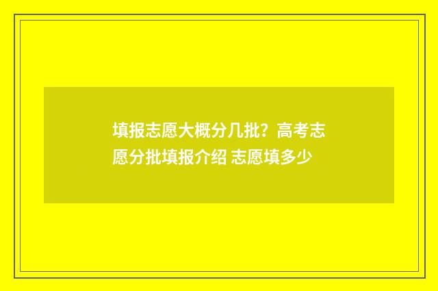 填报志愿大概分几批？高考志愿分批填报介绍 志愿填多少