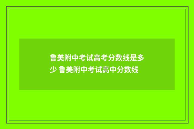 鲁美附中考试高考分数线是多少 鲁美附中考试高中分数线