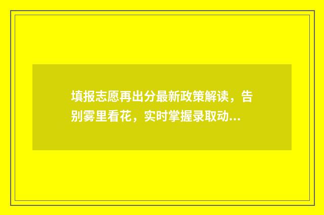 填报志愿再出分最新政策解读，告别雾里看花，实时掌握录取动态 志愿填报结束后才开始录取吗