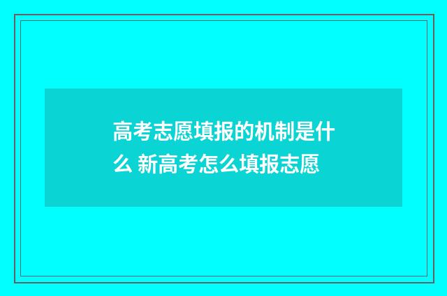 高考志愿填报的机制是什么 新高考怎么填报志愿