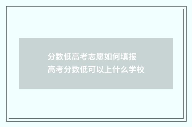 分数低高考志愿如何填报 高考分数低可以上什么学校