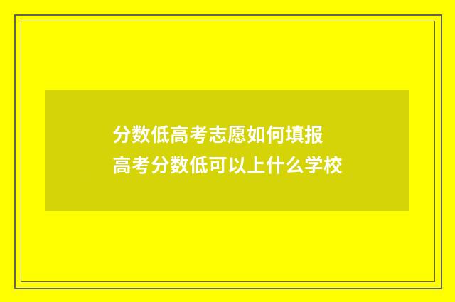 分数低高考志愿如何填报 高考分数低可以上什么学校