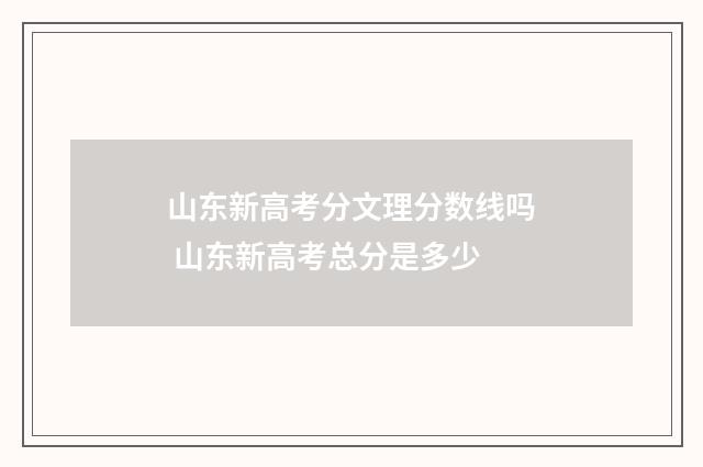 山东新高考分文理分数线吗 山东新高考总分是多少