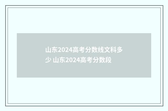 山东2024高考分数线文科多少 山东2024高考分数段