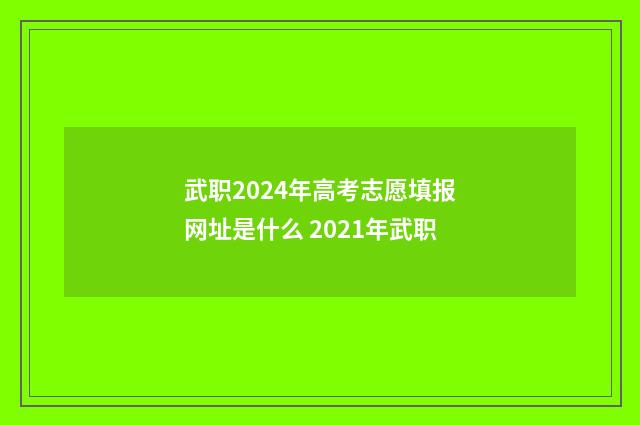 武职2024年高考志愿填报网址是什么 2021年武职
