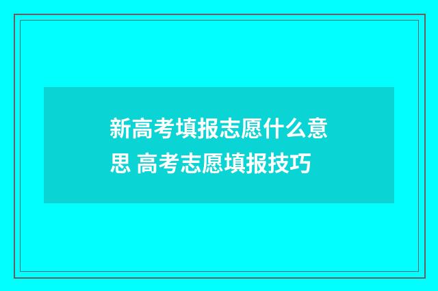 新高考填报志愿什么意思 高考志愿填报技巧