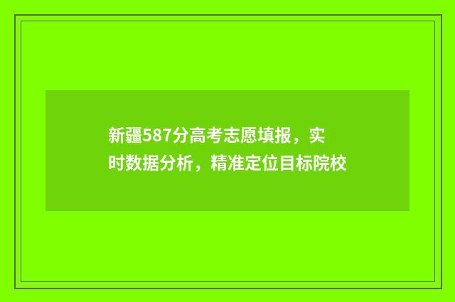 新疆587分高考志愿填报，实时数据分析，精准定位目标院校