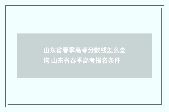 山东省春季高考分数线怎么查询 山东省春季高考报名条件