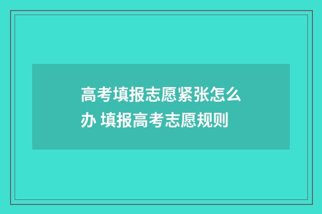 高考填报志愿紧张怎么办 填报高考志愿规则