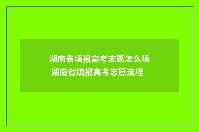 湖南省填报高考志愿怎么填 湖南省填报高考志愿流程