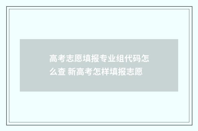 高考志愿填报专业组代码怎么查 新高考怎样填报志愿