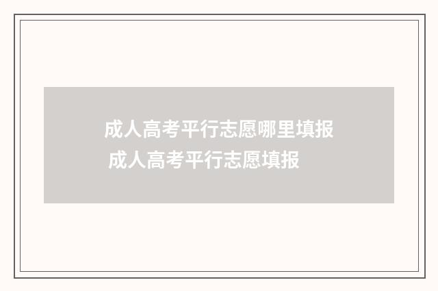 成人高考平行志愿哪里填报 成人高考平行志愿填报
