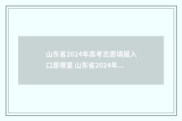 山东省2024年高考志愿填报入口是哪里 山东省2024年高等学校招生信息网