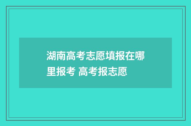 湖南高考志愿填报在哪里报考 高考报志愿