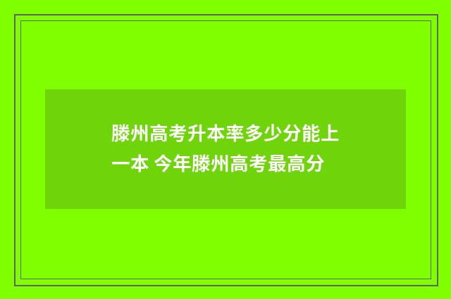 滕州高考升本率多少分能上一本 今年滕州高考最高分