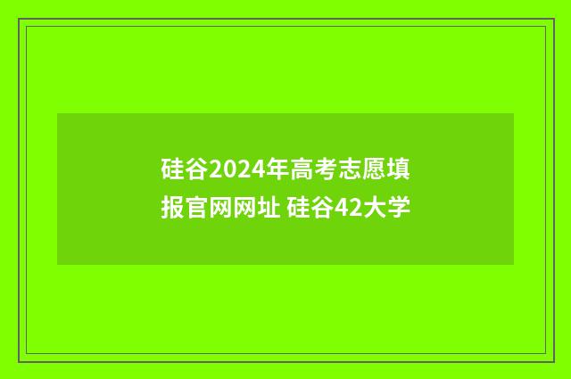硅谷2024年高考志愿填报官网网址 硅谷42大学