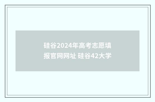 硅谷2024年高考志愿填报官网网址 硅谷42大学