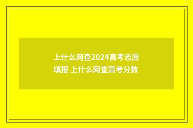 上什么网查2024高考志愿填报 上什么网查高考分数