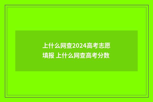 上什么网查2024高考志愿填报 上什么网查高考分数