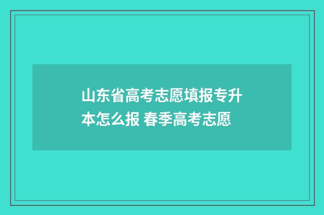 山东省高考志愿填报专升本怎么报 春季高考志愿
