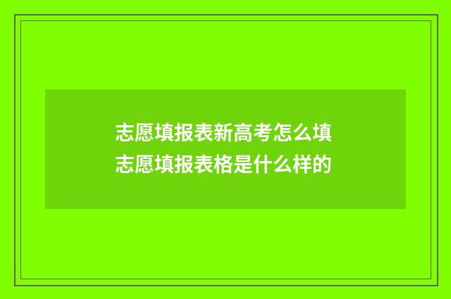 志愿填报表新高考怎么填 志愿填报表格是什么样的