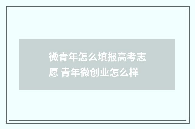 微青年怎么填报高考志愿 青年微创业怎么样