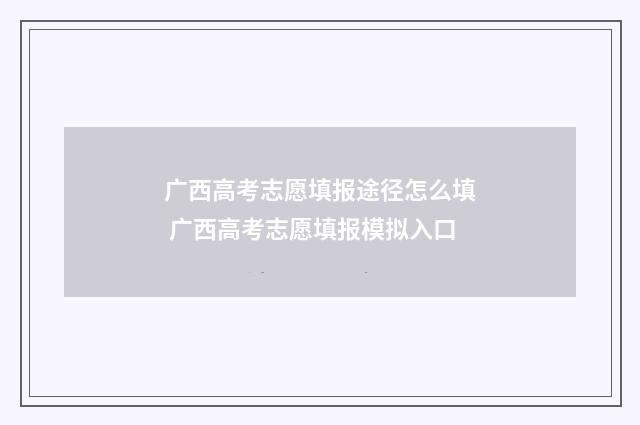 广西高考志愿填报途径怎么填 广西高考志愿填报模拟入口