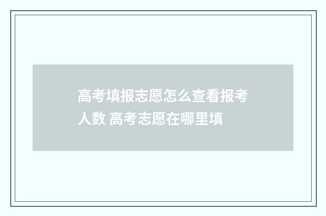 高考填报志愿怎么查看报考人数 高考志愿在哪里填