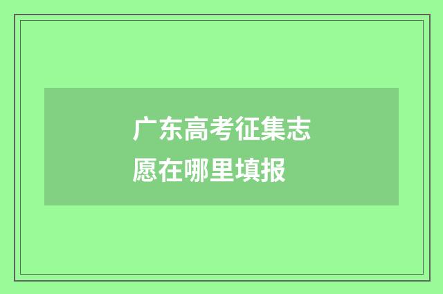 广东高考征集志愿在哪里填报