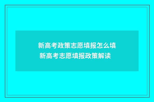 新高考政策志愿填报怎么填 新高考志愿填报政策解读