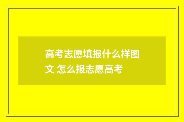 高考志愿填报什么样图文 怎么报志愿高考