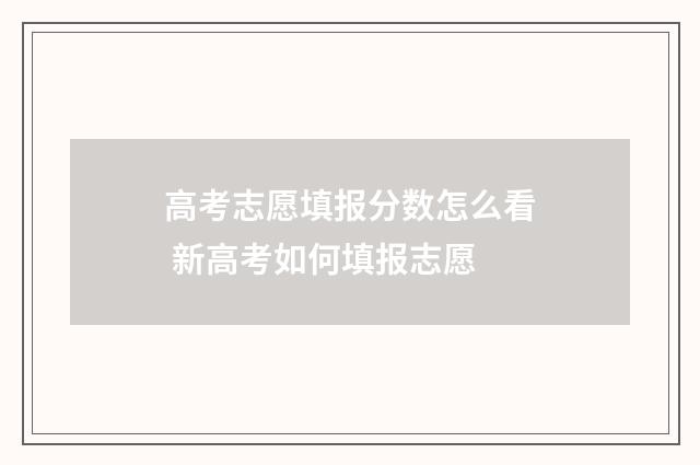 高考志愿填报分数怎么看 新高考如何填报志愿