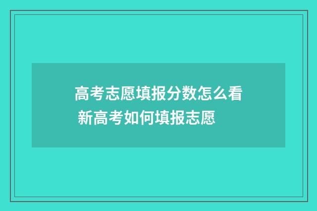 高考志愿填报分数怎么看 新高考如何填报志愿