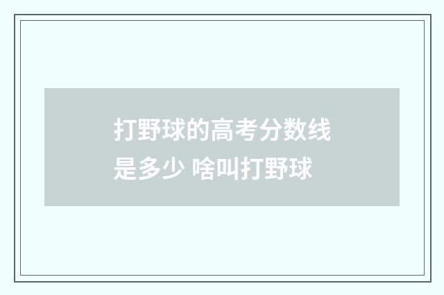 打野球的高考分数线是多少 啥叫打野球