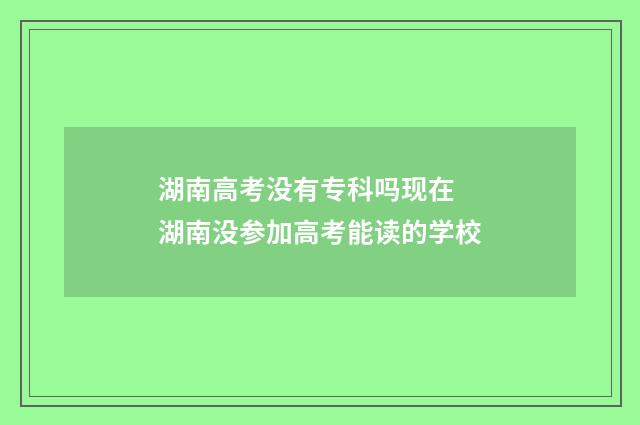 湖南高考没有专科吗现在 湖南没参加高考能读的学校
