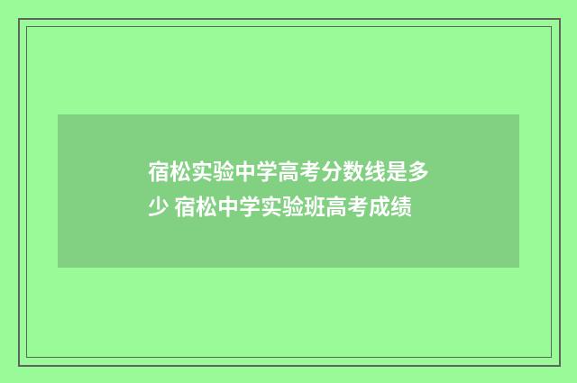 宿松实验中学高考分数线是多少 宿松中学实验班高考成绩