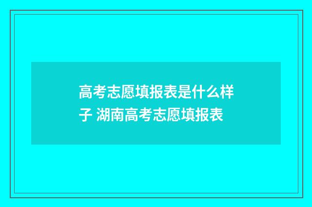 高考志愿填报表是什么样子 湖南高考志愿填报表