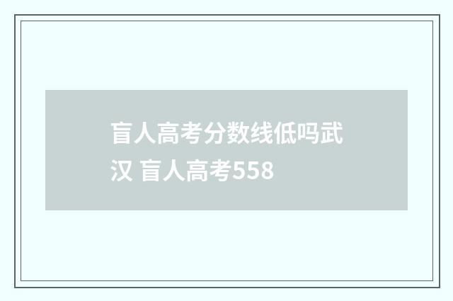 盲人高考分数线低吗武汉 盲人高考558