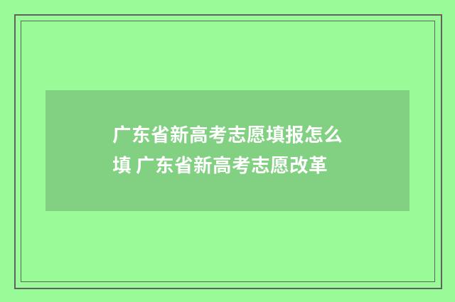 广东省新高考志愿填报怎么填 广东省新高考志愿改革