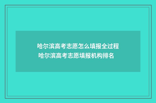 哈尔滨高考志愿怎么填报全过程 哈尔滨高考志愿填报机构排名