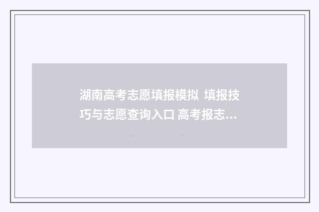 湖南高考志愿填报模拟 填报技巧与志愿查询入口 高考报志愿