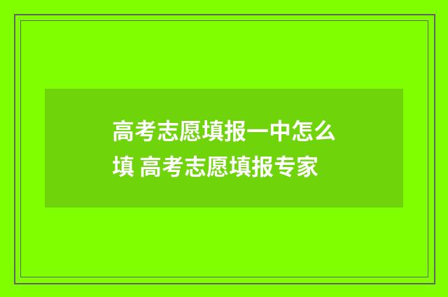 高考志愿填报一中怎么填 高考志愿填报专家