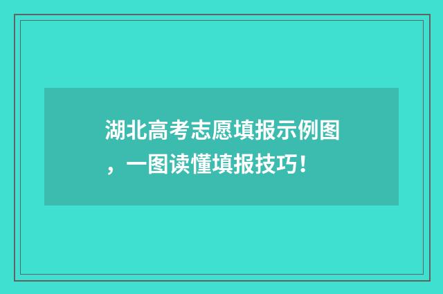 湖北高考志愿填报示例图，一图读懂填报技巧！