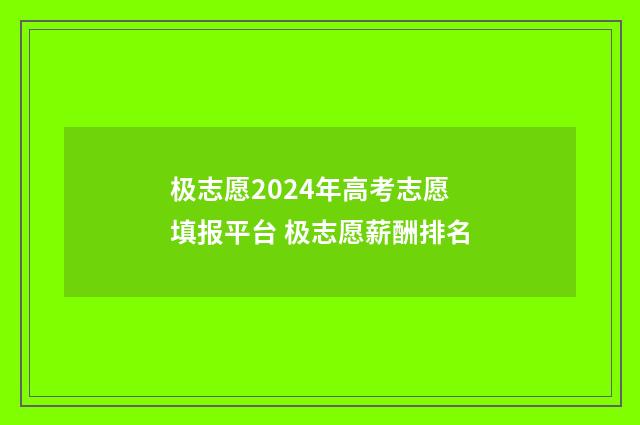 极志愿2024年高考志愿填报平台 极志愿薪酬排名