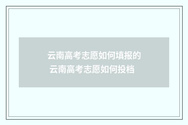 云南高考志愿如何填报的 云南高考志愿如何投档