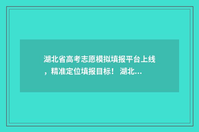 湖北省高考志愿模拟填报平台上线，精准定位填报目标！ 湖北省高考志愿填报规则