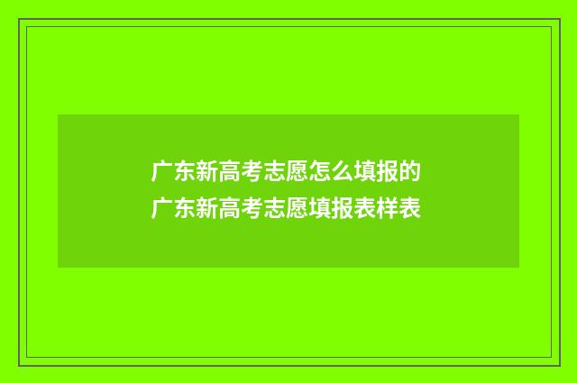 广东新高考志愿怎么填报的 广东新高考志愿填报表样表