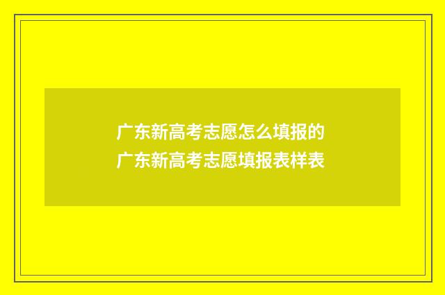广东新高考志愿怎么填报的 广东新高考志愿填报表样表