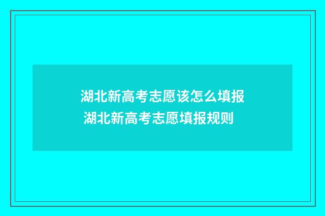 湖北新高考志愿该怎么填报 湖北新高考志愿填报规则