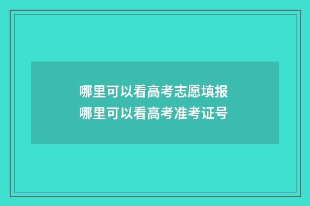 哪里可以看高考志愿填报 哪里可以看高考准考证号